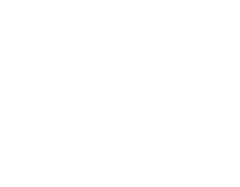 Prime Alley Technology