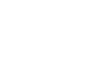 Prime Alley Technology